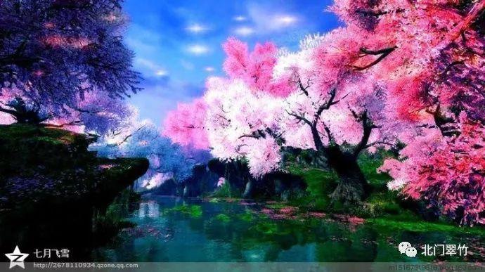 强大的狮子拼图