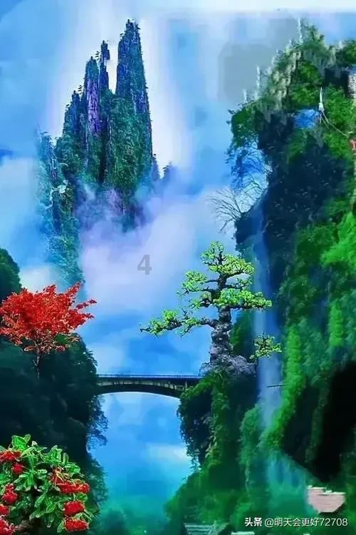 拯救毛茸茸男人