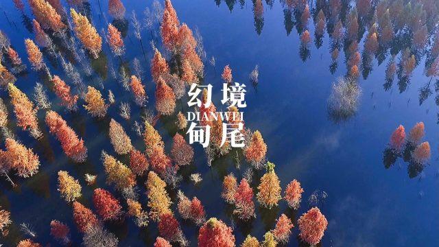 天命奇御