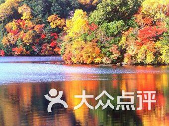 蓝帆医疗(002382.SZ):心脑血管业务子公司蓝帆柏盛拟引入战投融资9亿元