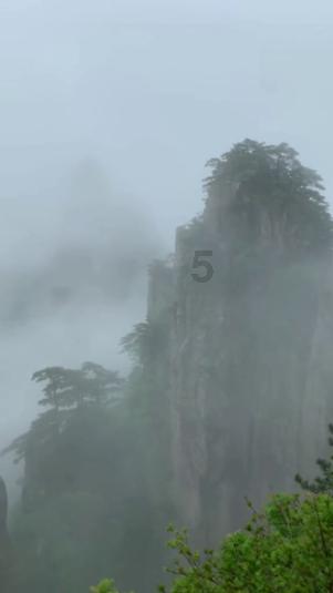 集邮者的收藏