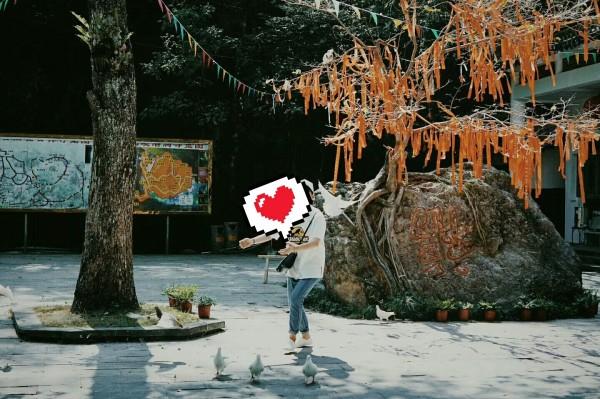 高中生没有好朋友怎么办？游戏画面