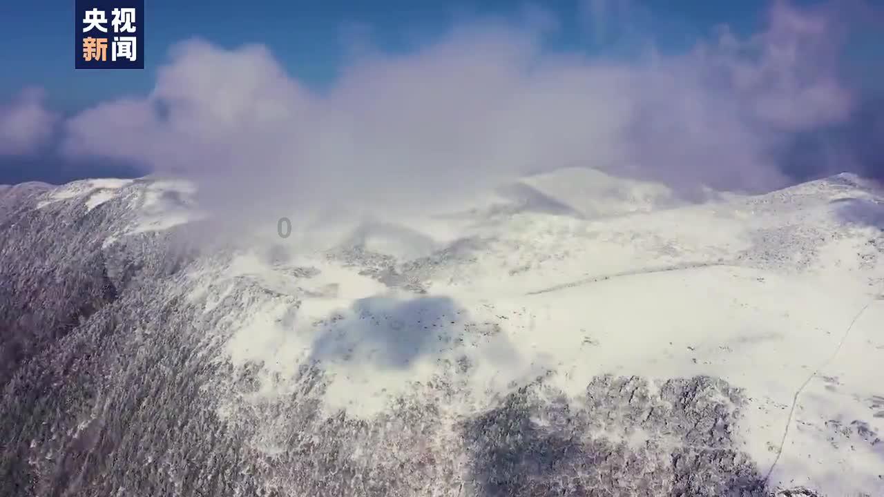 德州拉拢十州“举义”，称准备武力对抗拜登政府，美出现解体声音