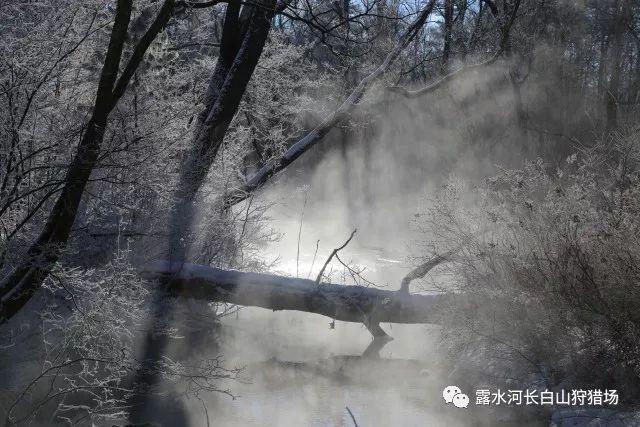 全民剧本大师内置菜单