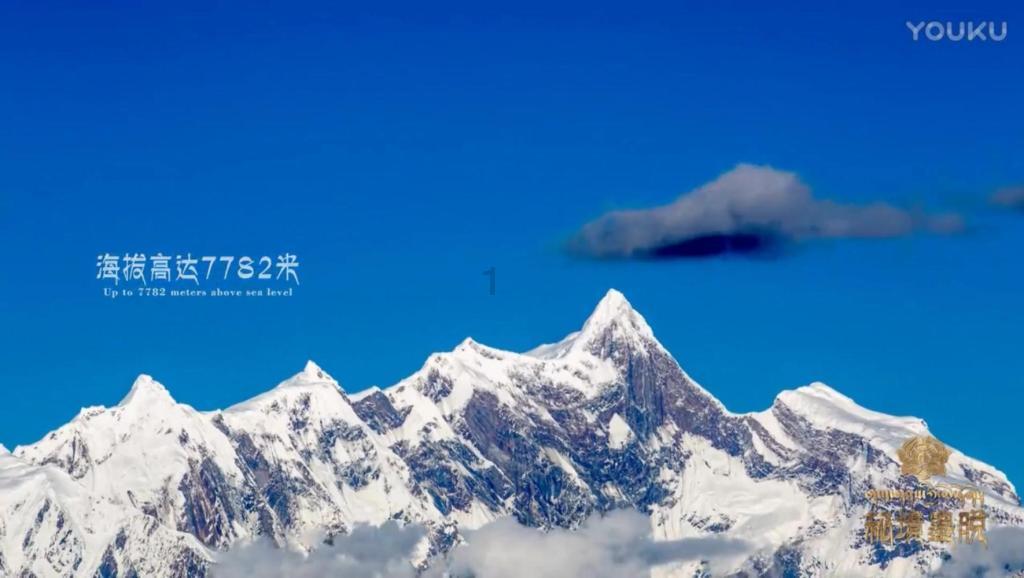 新大嘴怪冒险