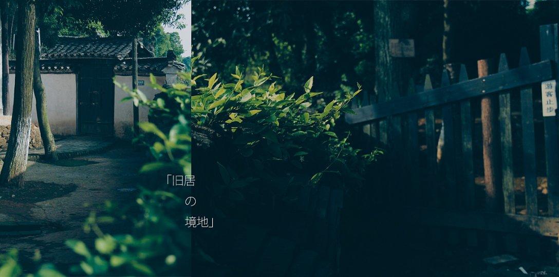 帝国：全面战争