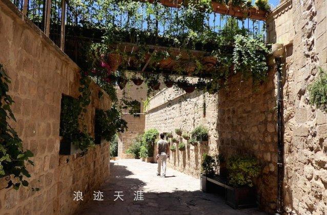 探索世界,发现新奇——酵母发面没有发起来做出烧饼像剩面做的怎么回事?蜗牛问答平台