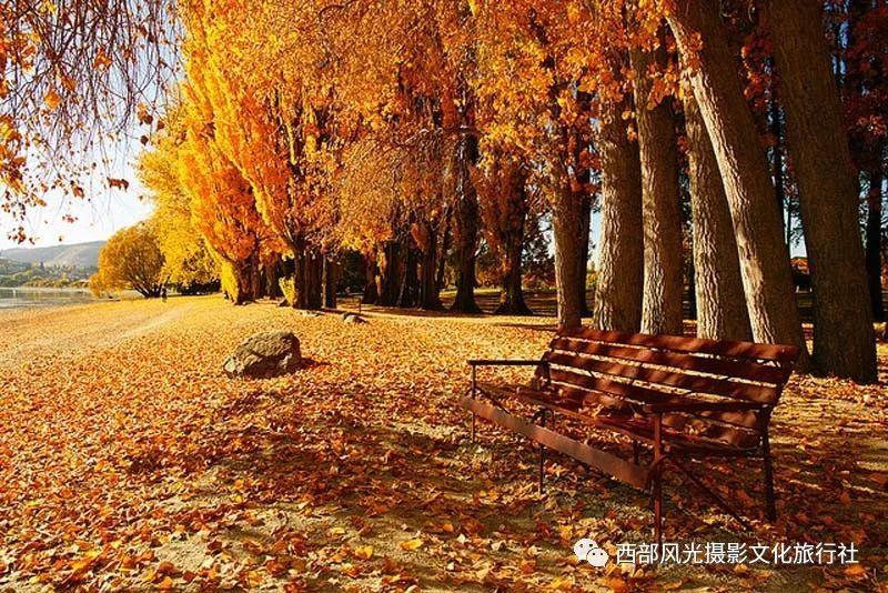 方块与转轮
