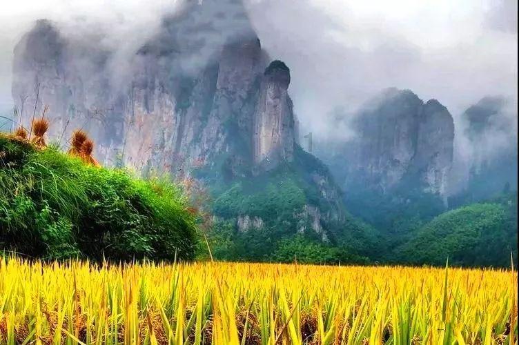 蚌埠怀远：靓丽小坝路，铺平群众“舒心路”