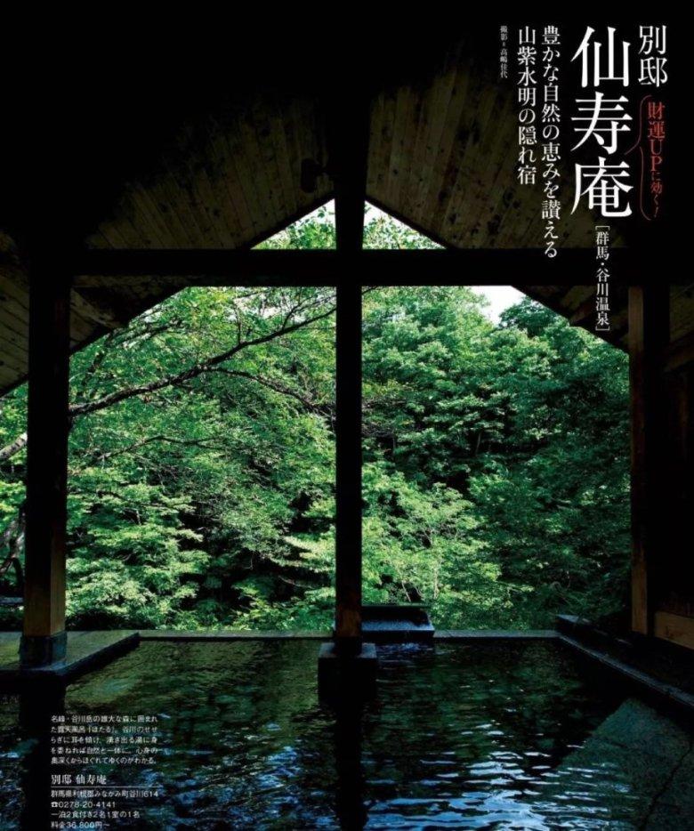 小猫钓鱼正版下载中文版