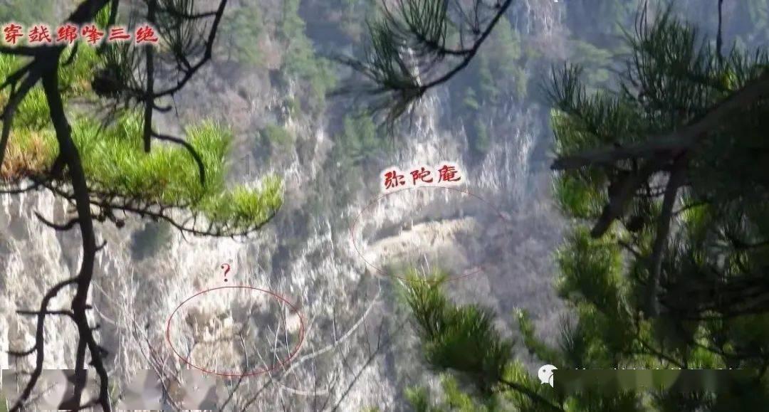 模拟农场17