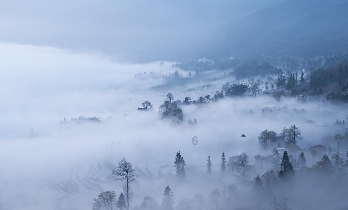 梦想的后院
