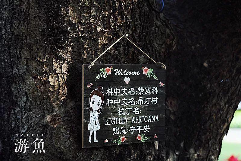 召唤神龙万宁版祖龙