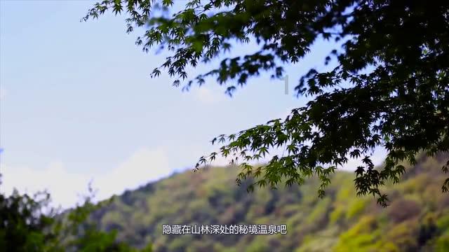 脑洞小老弟无实名认证