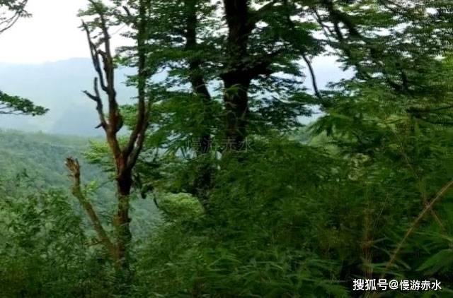 该不该把保姆当家人看待?-专业问答网站
