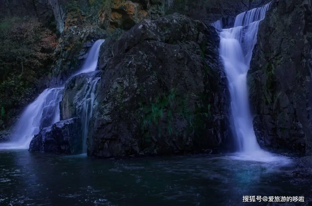 动物帮帮忙保卫家园