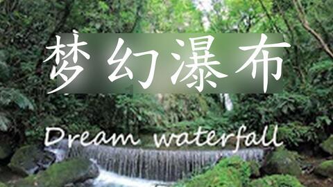 吉林白山市江源区打造“党建+电商”直播孵化基地 农特产品搭上流量快车（一线赶潮）