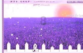 刘心悦首秀央视综艺表现出乎意料，杨帆终于有比月亮合适的搭档了