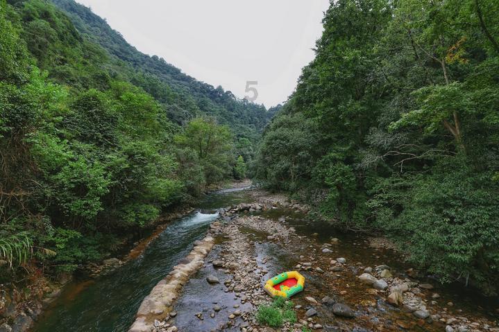 装修上是先敷设电线槽盒还是抹灰-智能问答网页,机智回答问题