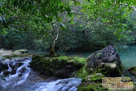 三氧疗法从“根”治疗皮肤疾病