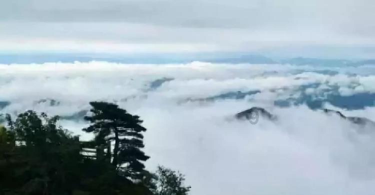 小企鹅逃生