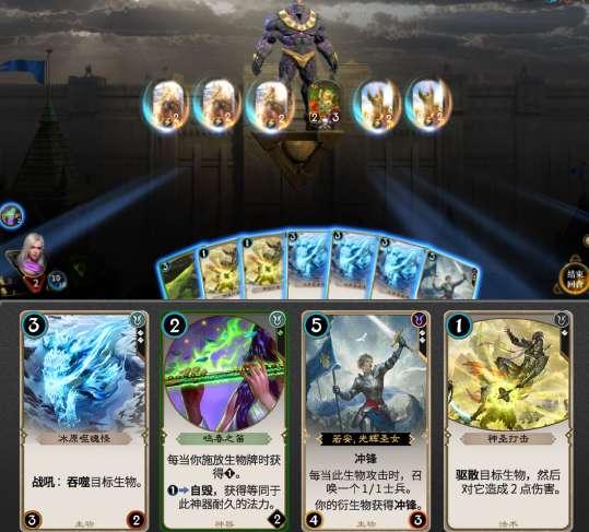 狗狗物品记忆卡