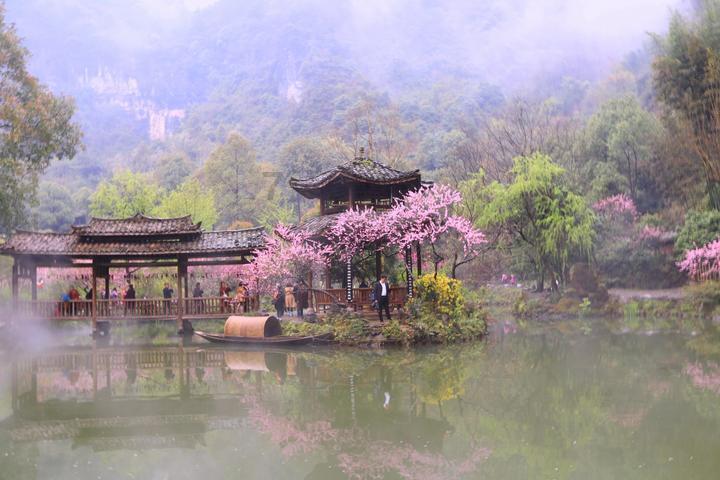 次元喵