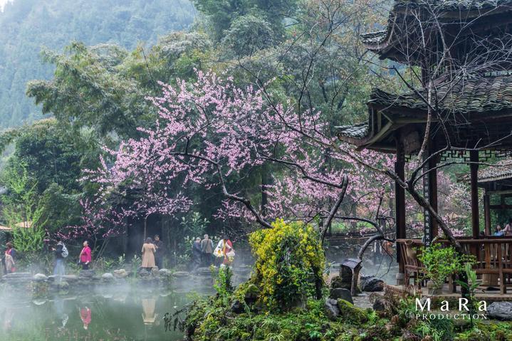 全民剧本大师内置菜单