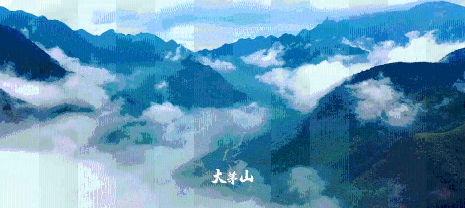88影视