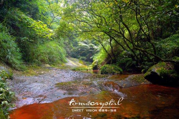 逃出平静乡村