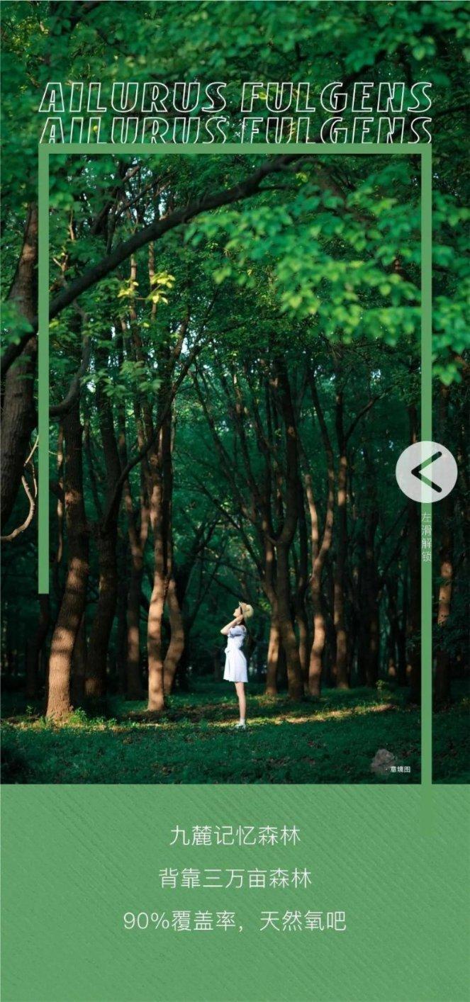 创作猫