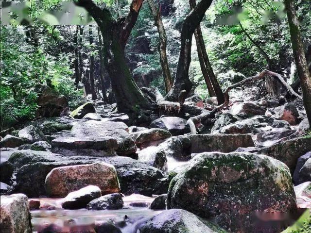 飞跃沙丘的小球
