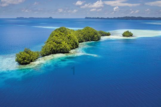 为了青海湖的这份别样美丽,青海湖景区管理局局长向委员“问计”!