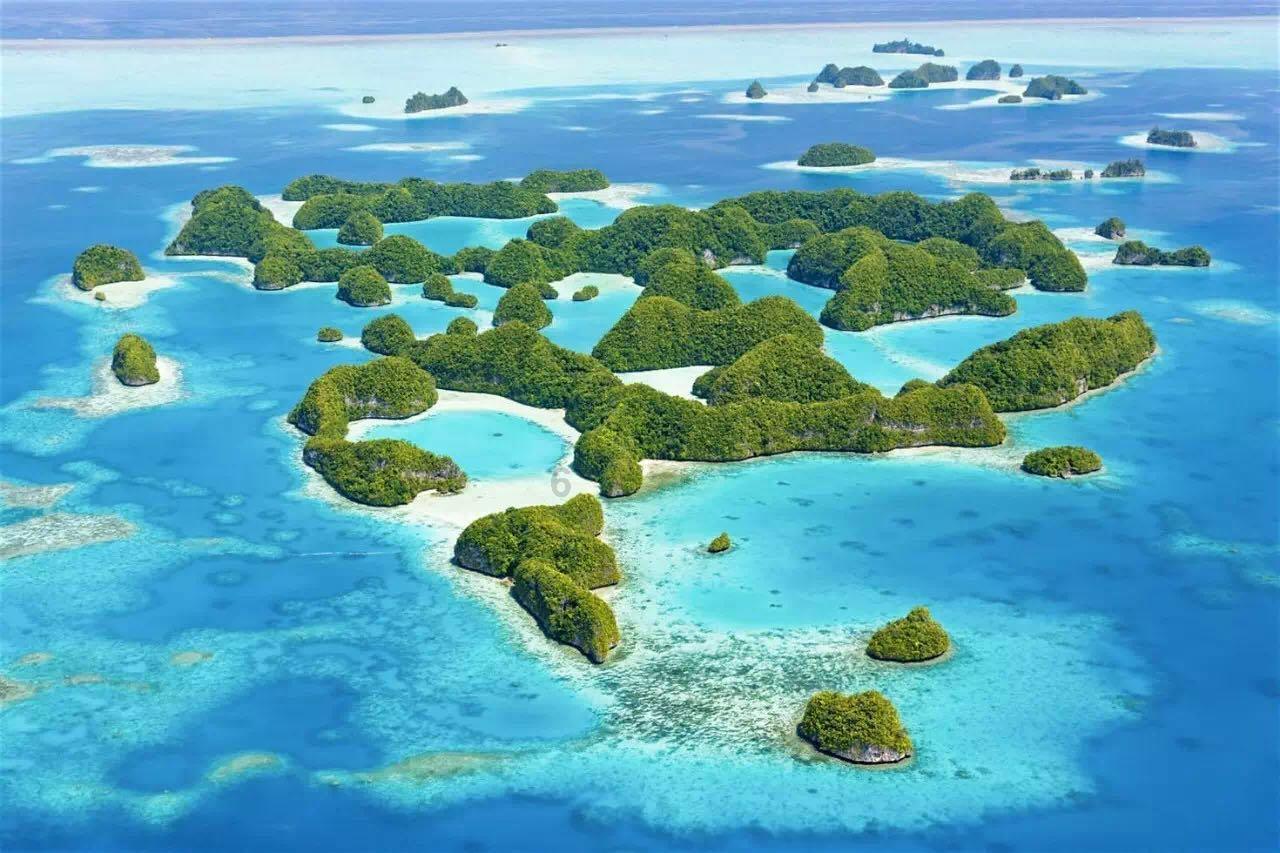 小猫钓鱼游戏龙王版有船