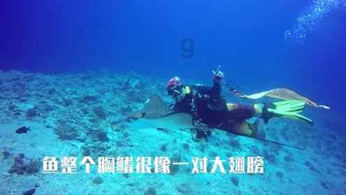 幽灵勇士中文版