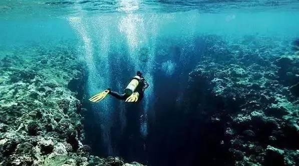 沪江开心词场