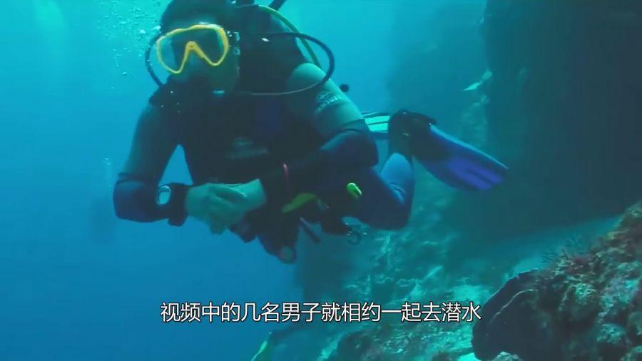 小孔雀逃脱