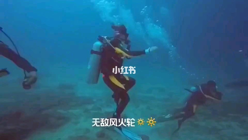 嘉日单词