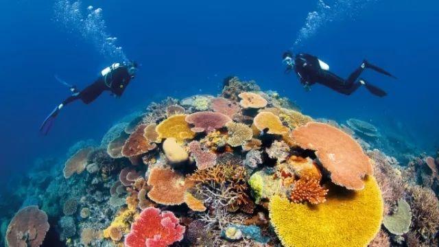 万亿元规模银发经济催生新赛道 民政部将制定完善金融支持政策措施