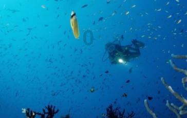 北洋舰队实力如何？主力舰25艘，官兵超4000人，甲午海战一触即溃