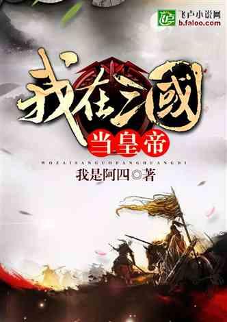 真三国无双8