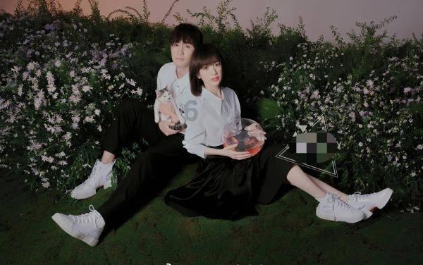 玫瑰花与菊花有什么区别？游戏画面
