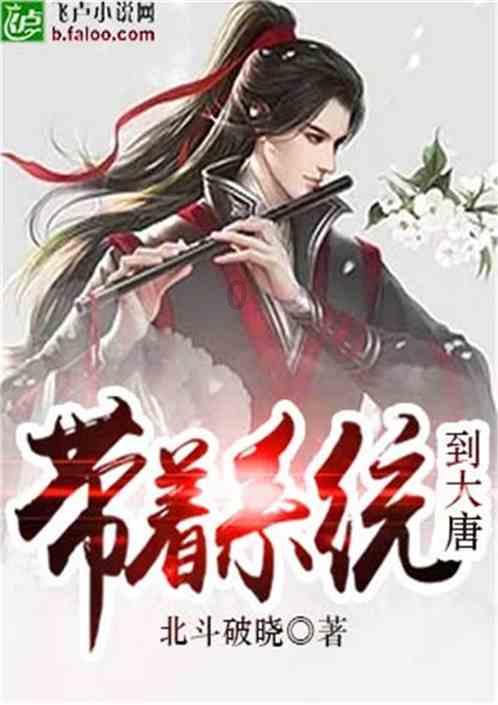 大白菜系统进不去