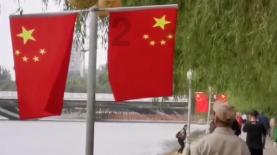 动物帮帮忙保卫家园