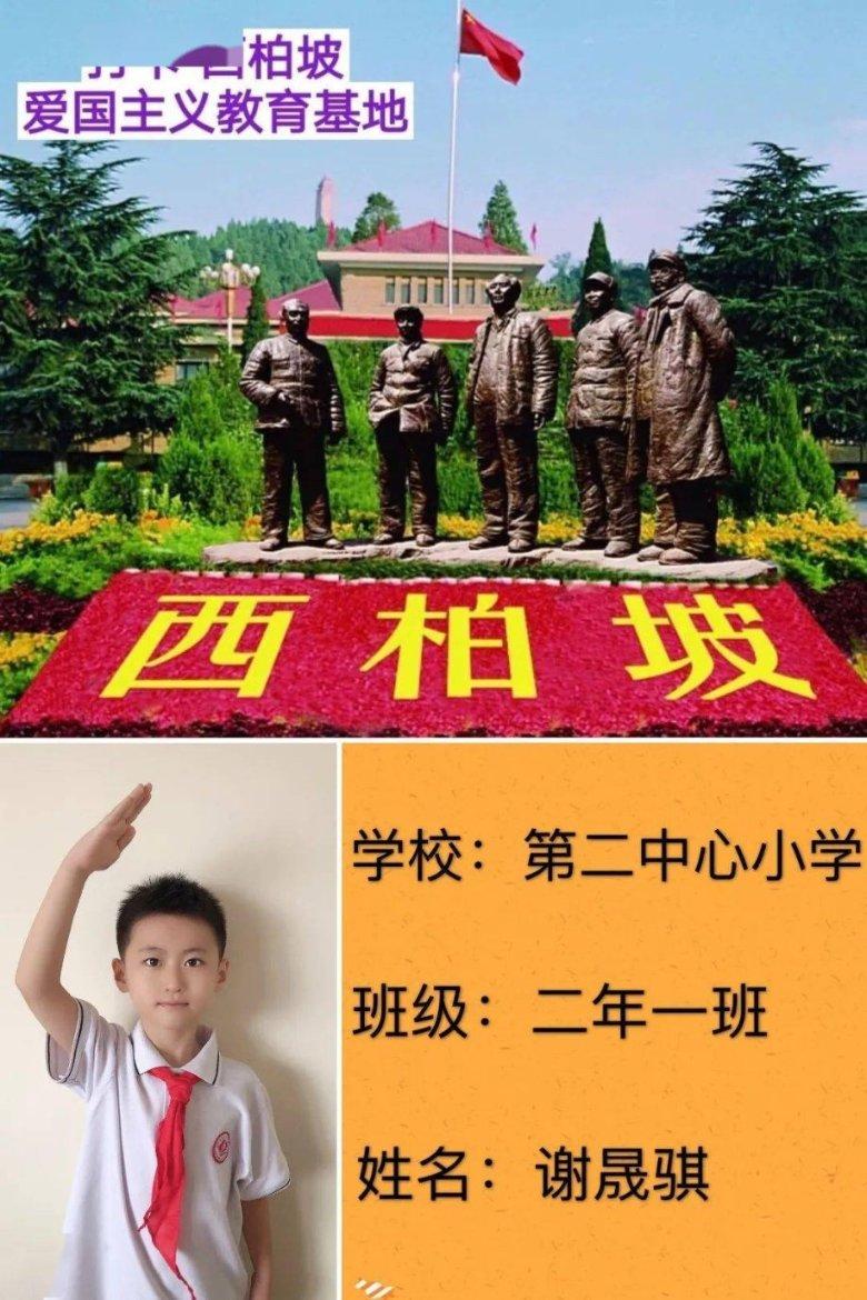 【两会·新声】张顺勇代表:种养结合 立体发展 用心酿造“甜蜜产业”