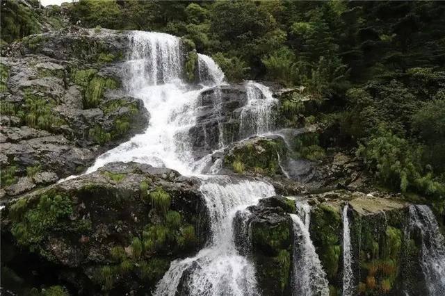 地方两会热议普惠性托育:父母需求强烈,托育机构却“一娃难求”