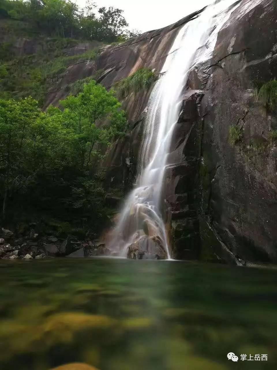 春雨直播app