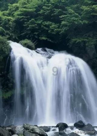 小猫钓鱼开船版最新版下载