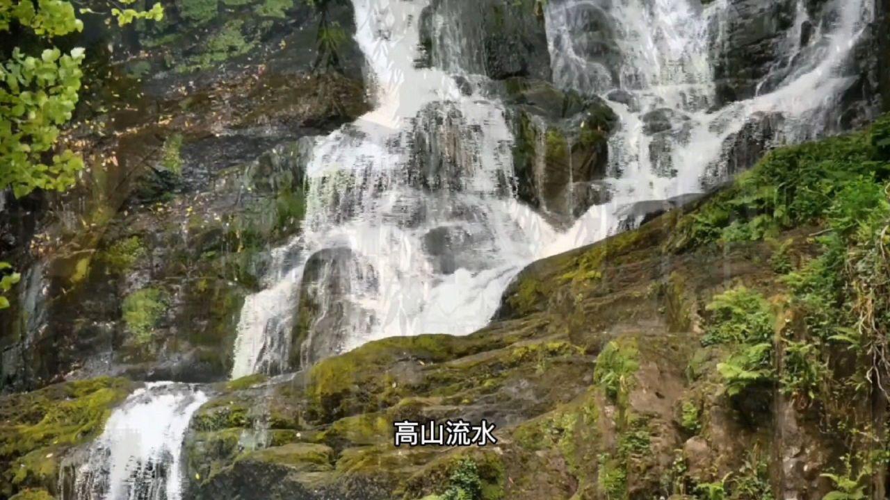 妙鸭相机app下载官网