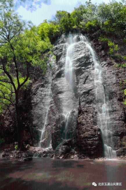狂野飙客4